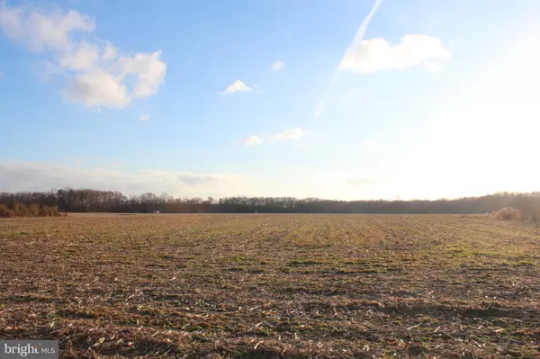 Showell, MD 21862,0 PEERLESS RD