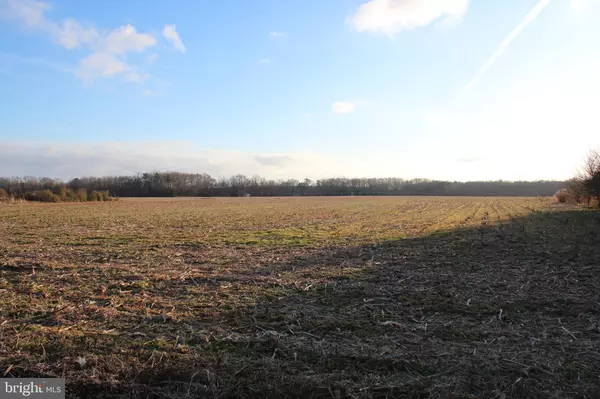 Showell, MD 21862,0 PEERLESS RD