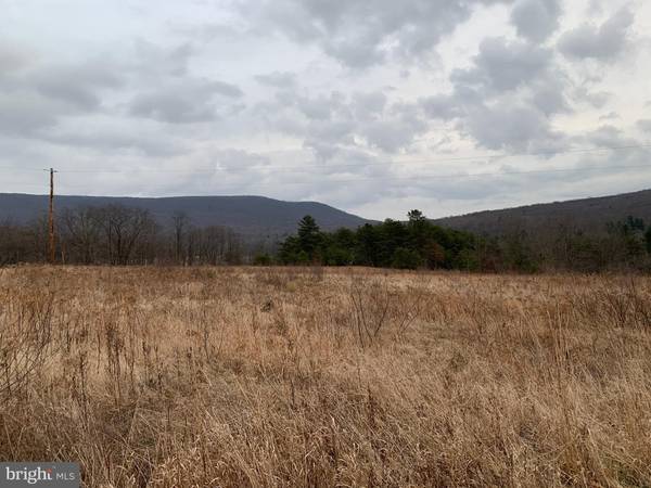 Hopewell, PA 16650,27.9AC SANDY RUN ROAD