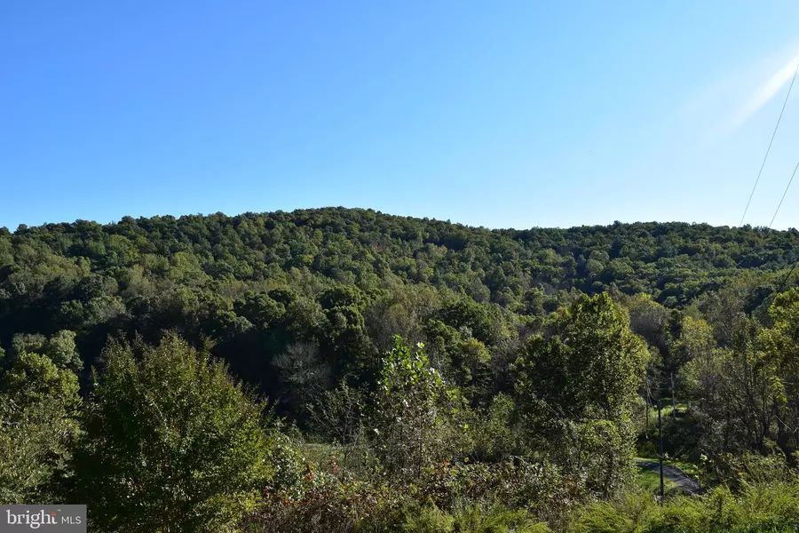 LOT 4 BUCK MOUNTAIN RD, Bentonville, VA 22610