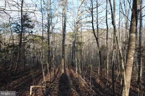 Marshall, VA 20115,CABIN BRANCH