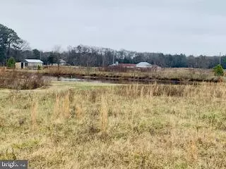 GUM TREE ROAD, Dagsboro, DE 19939