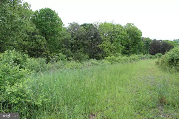 Berkeley Springs, WV 25411,TOM COBERT LN #LOT 5