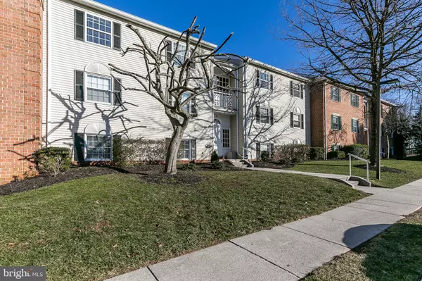 Lutherville Timonium, MD 21093,5 LOUGH MASK CT #301