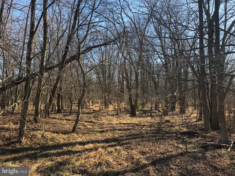 25 COOPER TOMLINSON RD, Medford, NJ 08055