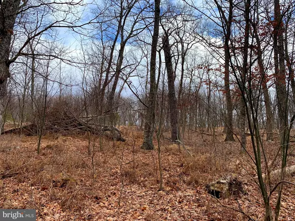 Moorefield, WV 26836,SOUTH BRANCH MOUNTAIN ROAD