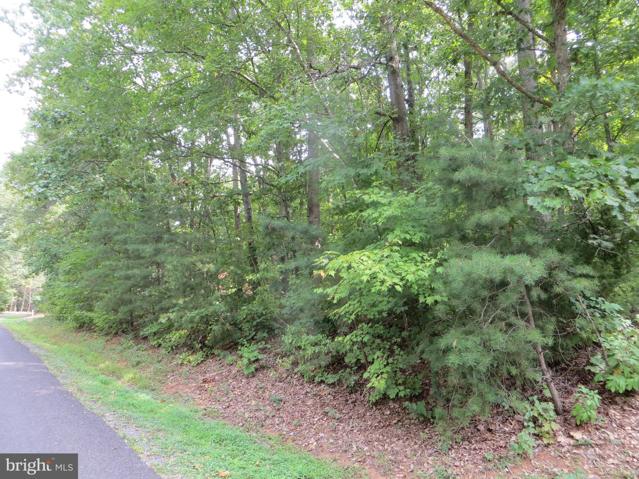 209 WASHINGTON ST, Locust Grove, VA 22508