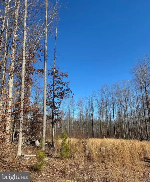 Midland, VA 22728,LOT 3 BRISTERSBURG RD