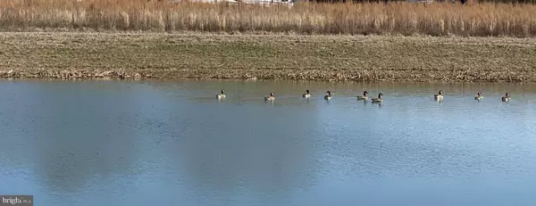 Ellendale, DE 19941,LOT #1 MILTON ELLENDALE HWY