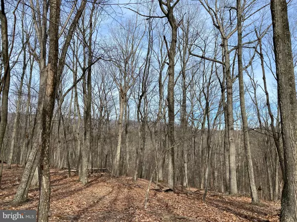 Cross Junction, VA 22625,LOT 18 TIMBER RIDGE