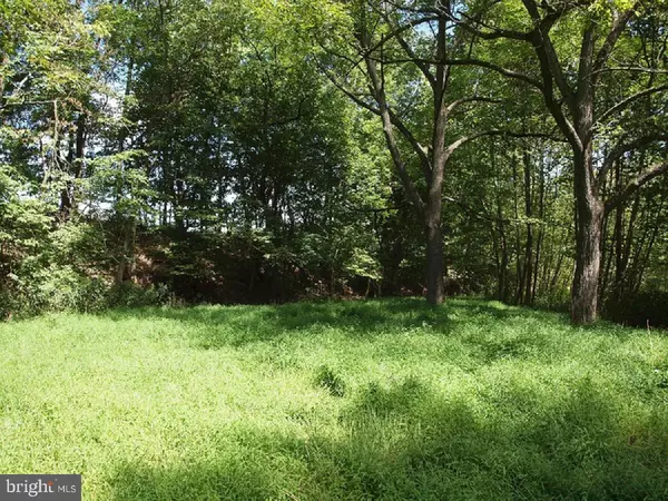 Franklin, WV 26807,GREEN ACRES, LOT #17