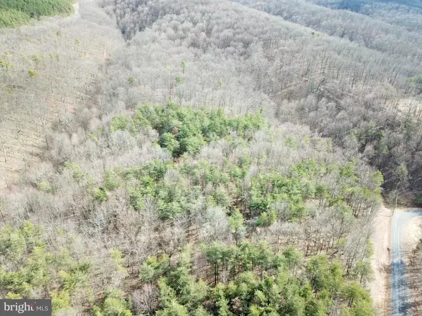 Moorefield, WV 26836,LOT 316 WINTERBERRY DRIVE