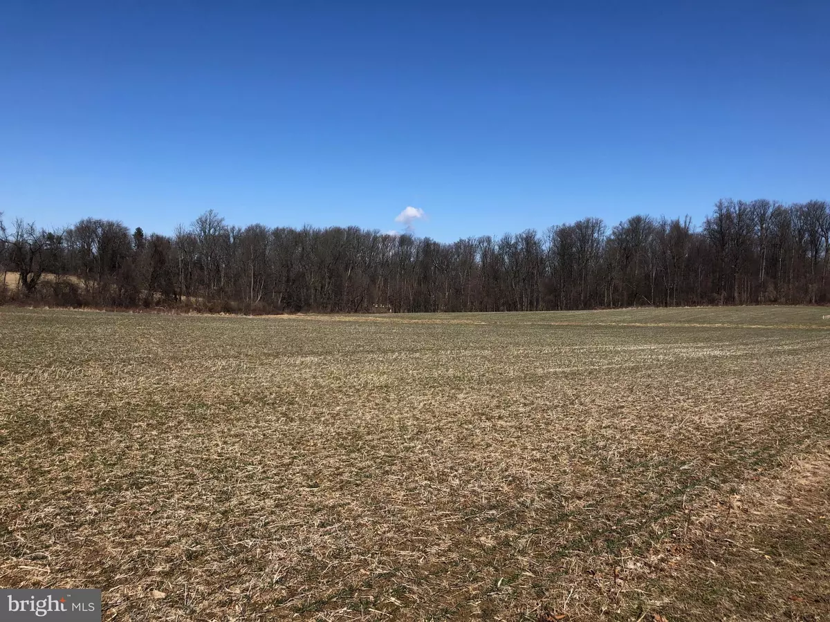 Chester Springs, PA 19425,1900 BEAVER HILL RD #LOT 11