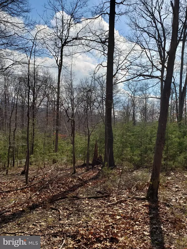 Harpers Ferry, WV 25425,LOT # 32 OXBOW