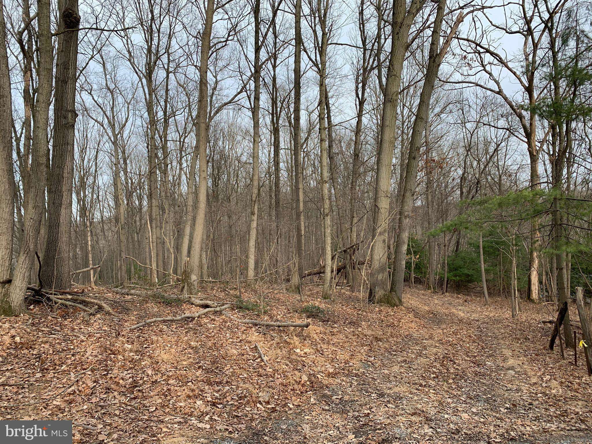 AMOS RD, White Hall, MD 21161