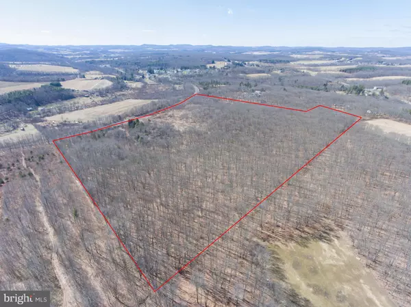 40.7 ACRES MARYLAND HIGHWAY, Deer Park, MD 21550