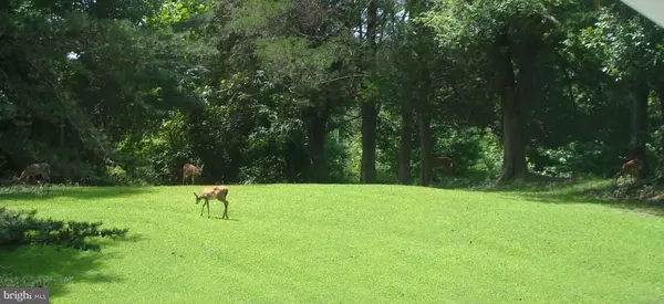 Fredericksburg, VA 22406,1016 RAMOTH CHURCH