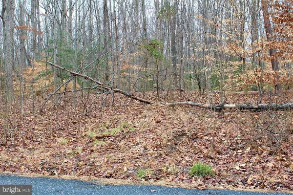 LOT 3 OLD APPLE GROVE RD, Mineral, VA 23117