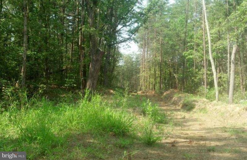 LOT 56-46 SANDY RIDGE RD, Fredericksburg, VA 22405