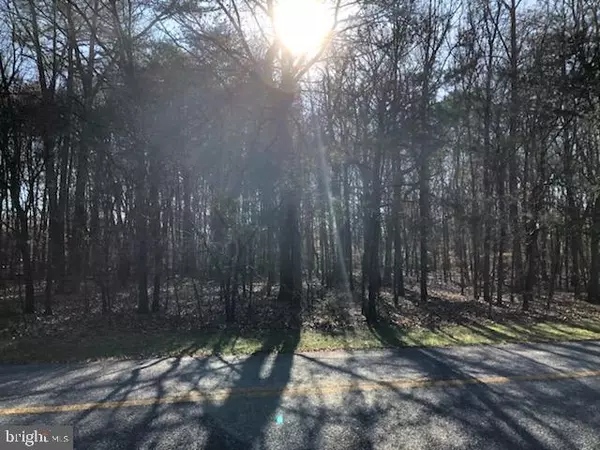 Preston, MD 21655,PARCEL 15 NEWTON ROAD