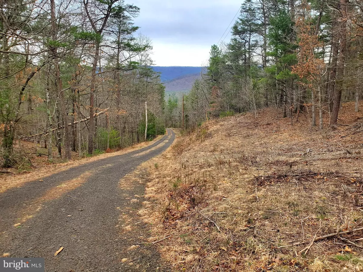 Basye, VA 22810,OFF CROOKED RUN RD.