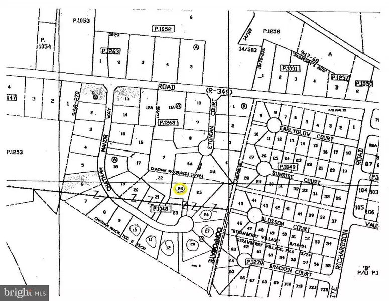 LOT 24 CHATHAM MANOR WAY, Pittsville, MD 21850