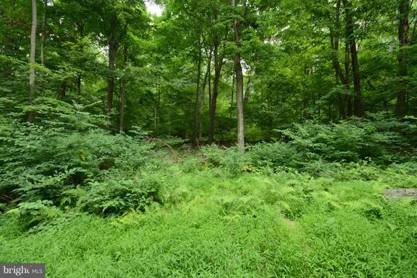 Sabillasville, MD 21780,BROWNS QUARRY RD LOT 3