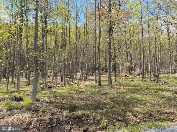 Berkeley Springs, WV 25411,LOT 69 PARKSIDE TERRACE