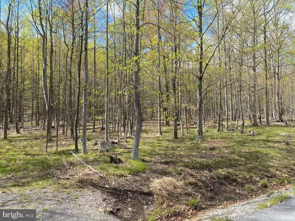 Berkeley Springs, WV 25411,LOT 69 PARKSIDE TERRACE