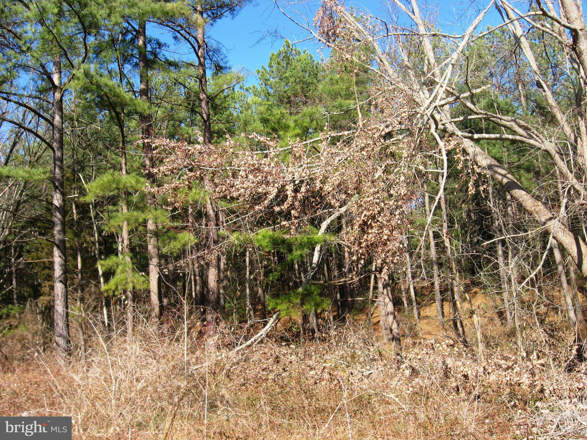 Mount Jackson, VA 22842,0 ORKNEY GRADE RD