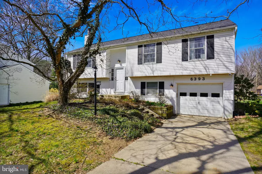 6393 TAWNY BLOOM, Columbia, MD 21045