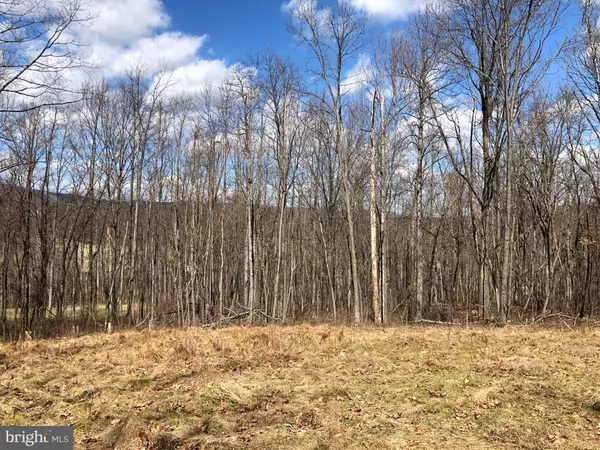 Hedgesville, WV 25427,BACK CREEK VALLEY