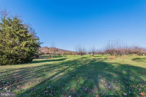 Dillsburg, PA 17019,1150 S MOUNTAIN RD #LOT 3