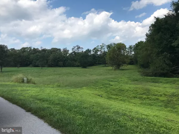 Fairplay, MD 21733,8317 PROPHET ACRES RD #LOT 11