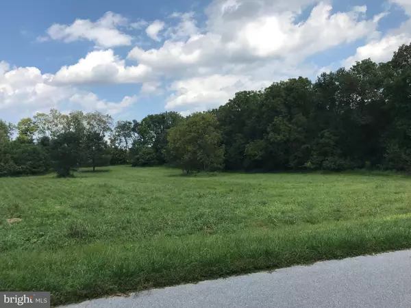 Fairplay, MD 21733,8317 PROPHET ACRES RD #LOT 11