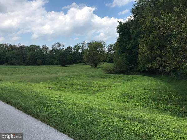 Fairplay, MD 21733,8317 PROPHET ACRES RD #LOT 11