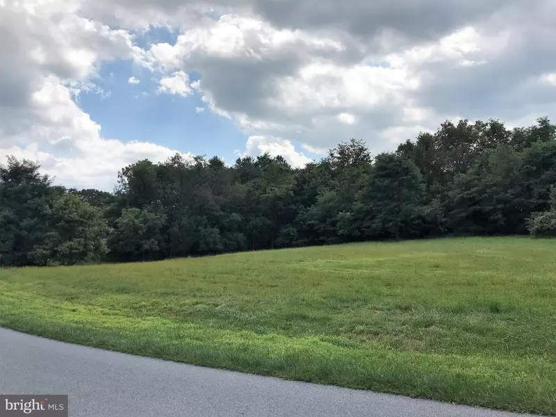 8320 PROPHET ACRES RD #LOT 17, Fairplay, MD 21733