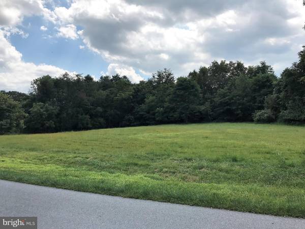 Fairplay, MD 21733,8320 PROPHET ACRES RD #LOT 17