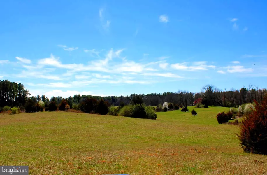 37.08 ACRES ON BISHOP MEADE, Boyce, VA 22620