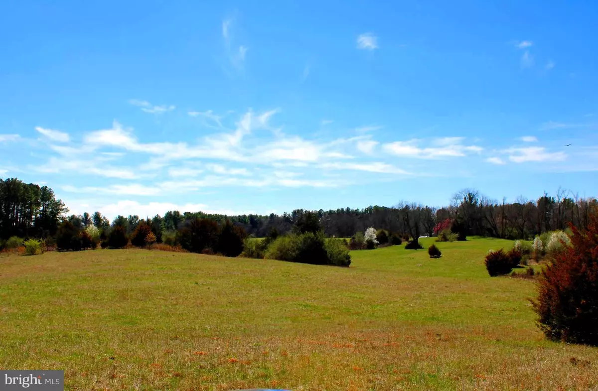 Boyce, VA 22620,37.08 ACRES ON BISHOP MEADE