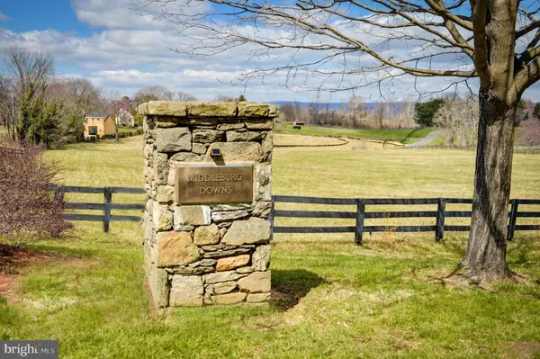 Middleburg, VA 20117,MIDDLEBURG DOWNS LOT 46