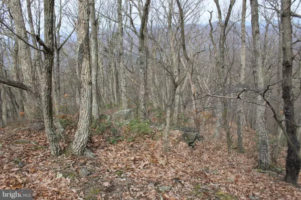 Moorefield, WV 26836,LOT 337 NATHANIEL MT RD