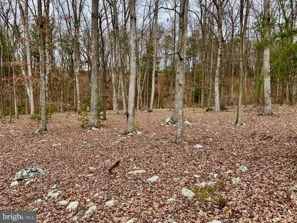 Fort Valley, VA 22652,14.94 ACRE LOT ST. DAVIDS CHURCH RD