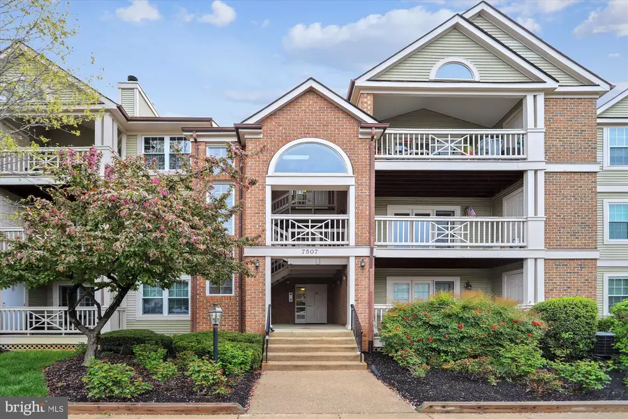 7507 ASHBY LN #J, Alexandria, VA 22315