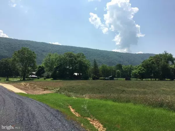 Strasburg, VA 22657,0 BLUE HERON LN