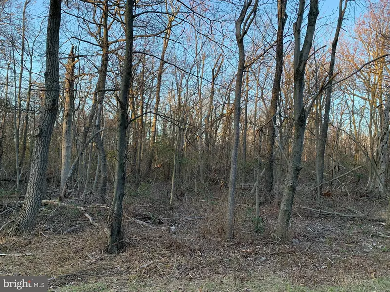 LOT 107, BOW WOOD TRAIL, Winchester, VA 22602