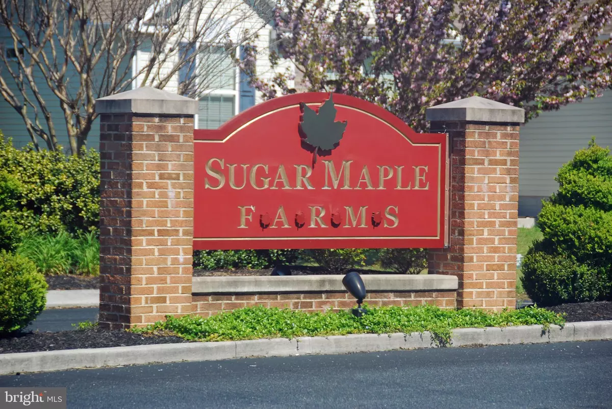 Lincoln, DE 19960,SUGAR MAPLE