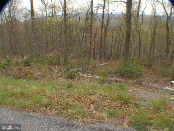 Winchester, VA 22602,TOMAHAWK TRAIL LOT 71