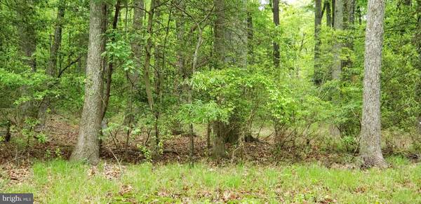 LOT 19 LILLY, Colonial Beach, VA 22443