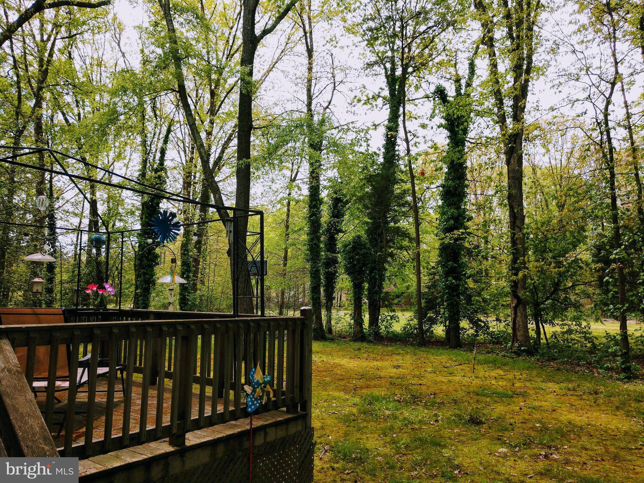 Dumfries, VA 22025,15710 SINGLETREE LN